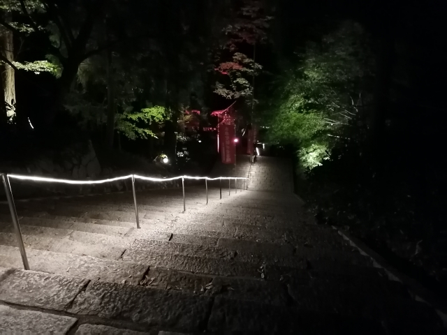 夜の暗い石段
